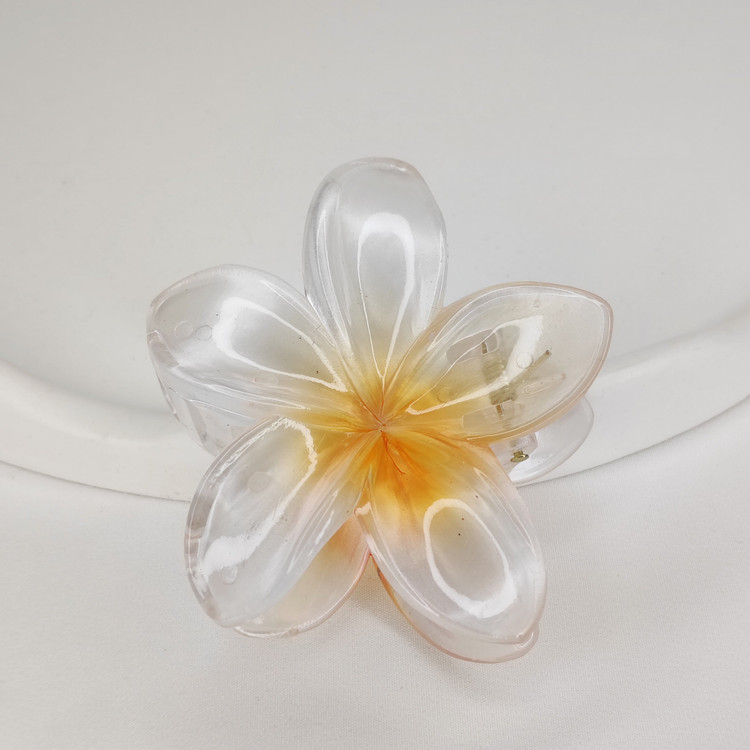 کلیپس پلومریا نارنجی