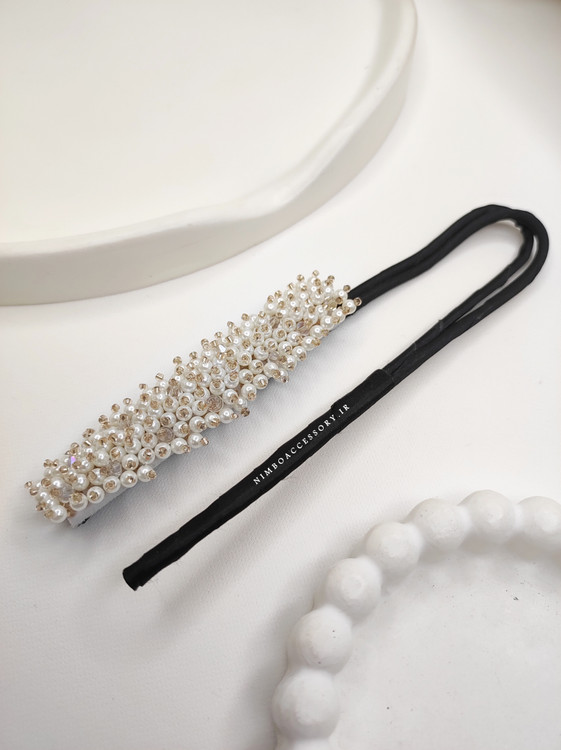 باندفر مجلسی