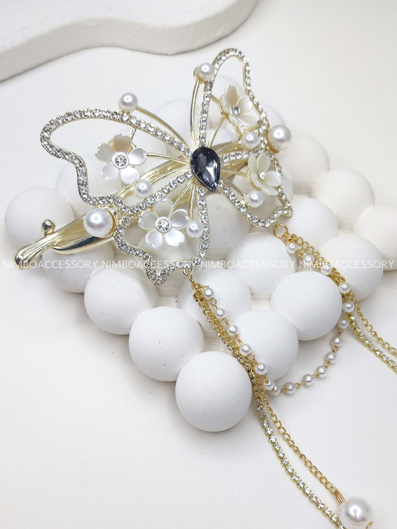 فرانسوی مجلسی