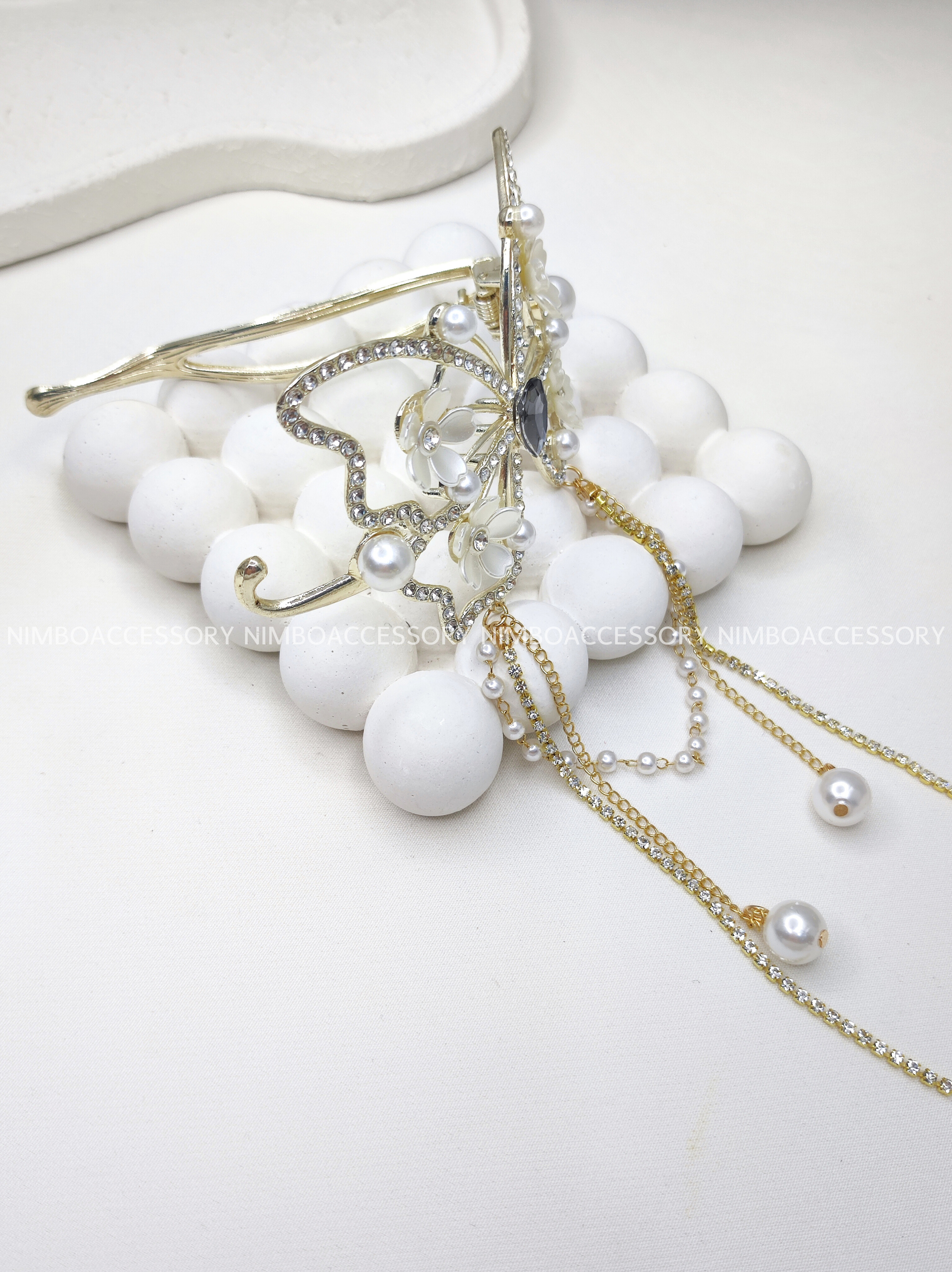 گیر پروانه مجلسی