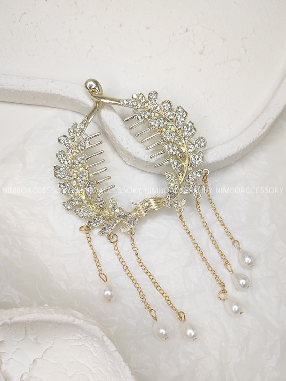 گوجه ای مجلسی